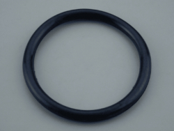 O-ring till Astral PAR56 Poollampor