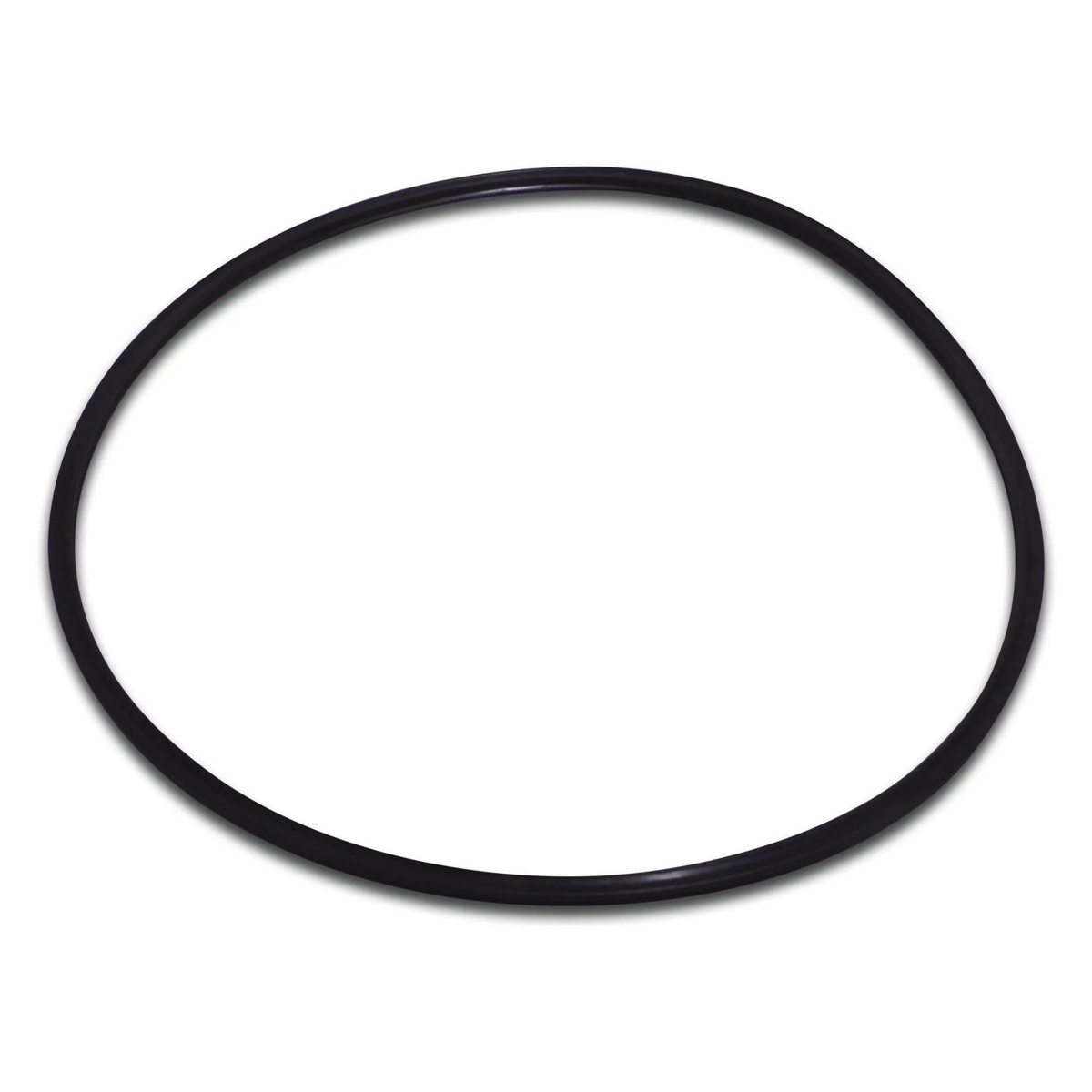 O-ringen mot en vit bakgrund