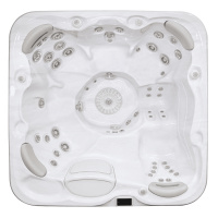 Spabad Signature Self-Cleaning 655 - Platinum Self Cleaning 655 Platinum sedd rakt ovanifrån