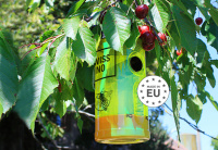 Getingfälla med Naturligt Bete Närbild på getingfällan i ett träd