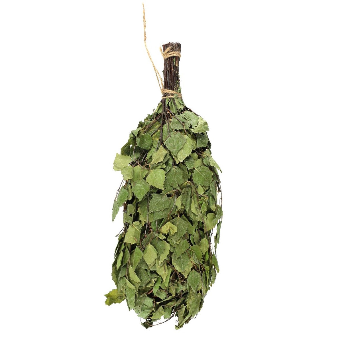 Basturuskan mot en vit bakgrund