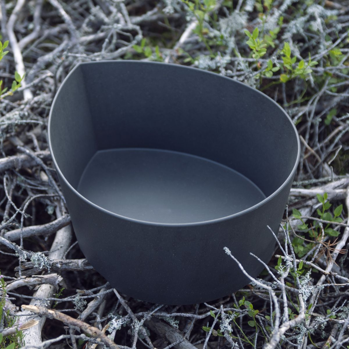 Tvättfatet ovanpå kvistar utomhus