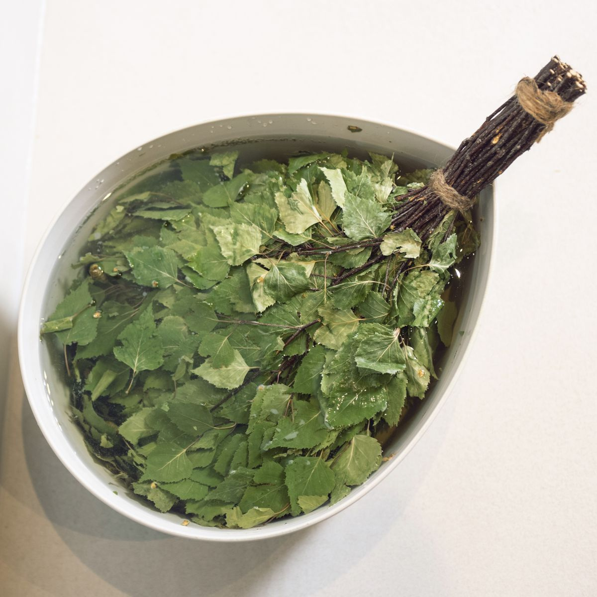 En basturuska i tvättfatet i vitt